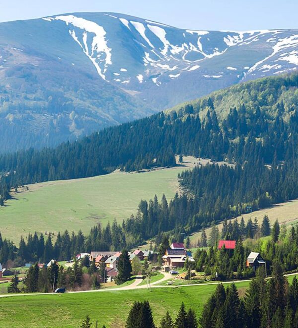 Відпочинок у Карпатах: тиша як нова розкіш