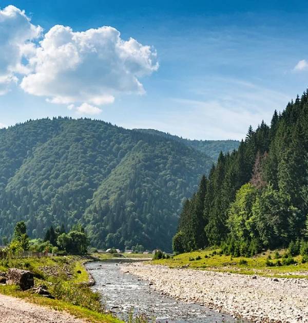 Локація в Карпатах