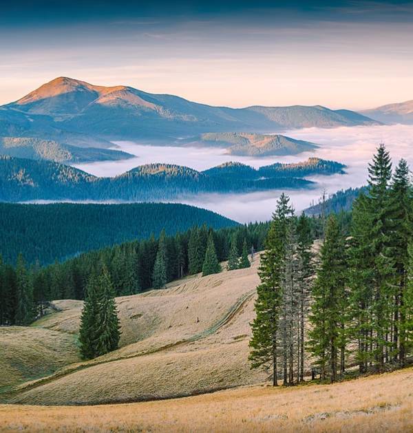 Заповідна зона поруч