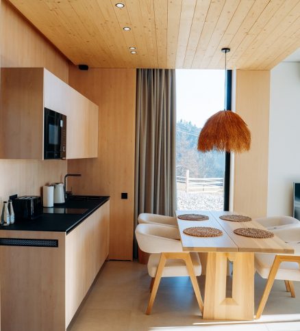 Carpathian Spa Suite №101