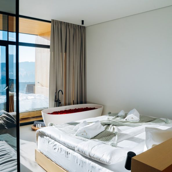 Carpathian Spa Suite №101