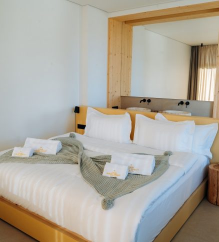 Carpathian Spa Suite №101